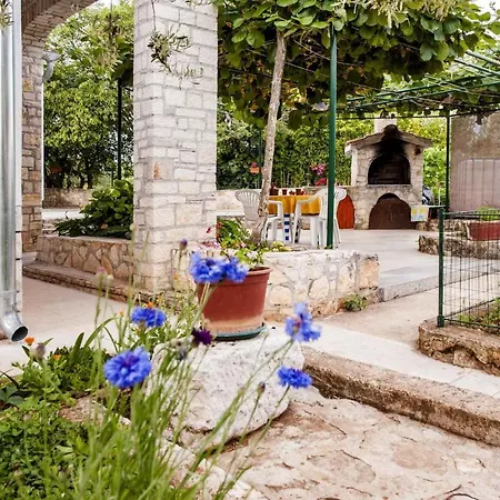 Apartment In Rovinj/istrien 11562 Rovinj